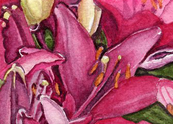 Lily Profusion Sherry Ackerman Cottage Grove WI wataercolor  SOLD